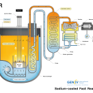 Schematic of a sodium cooled fast nuclear reactor (SFR)