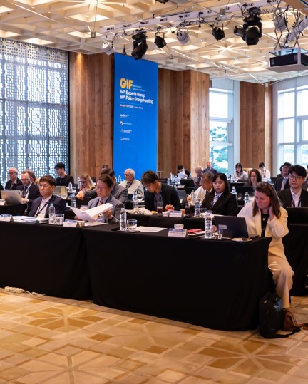 Audience at Busan EGPG